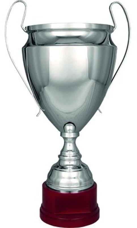 Sidabrinis metalinis puodelis TS