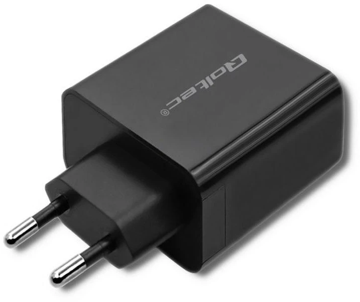 QOLTEC 51717 Įkroviklis 42W 5-20V 2.25-3A USB tipas C PD USB Juodas