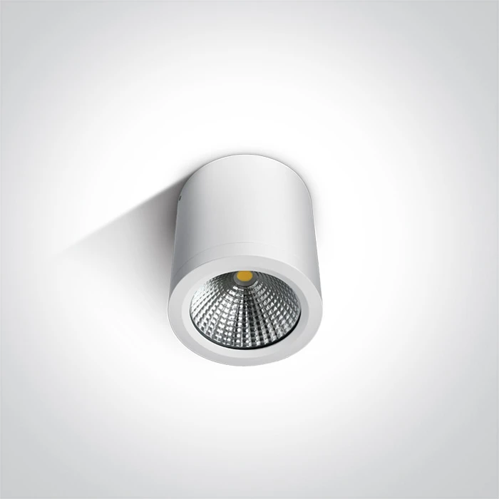 10W LED cilindro formos šviestuvas, baltas, 3000K, 67380/W/W