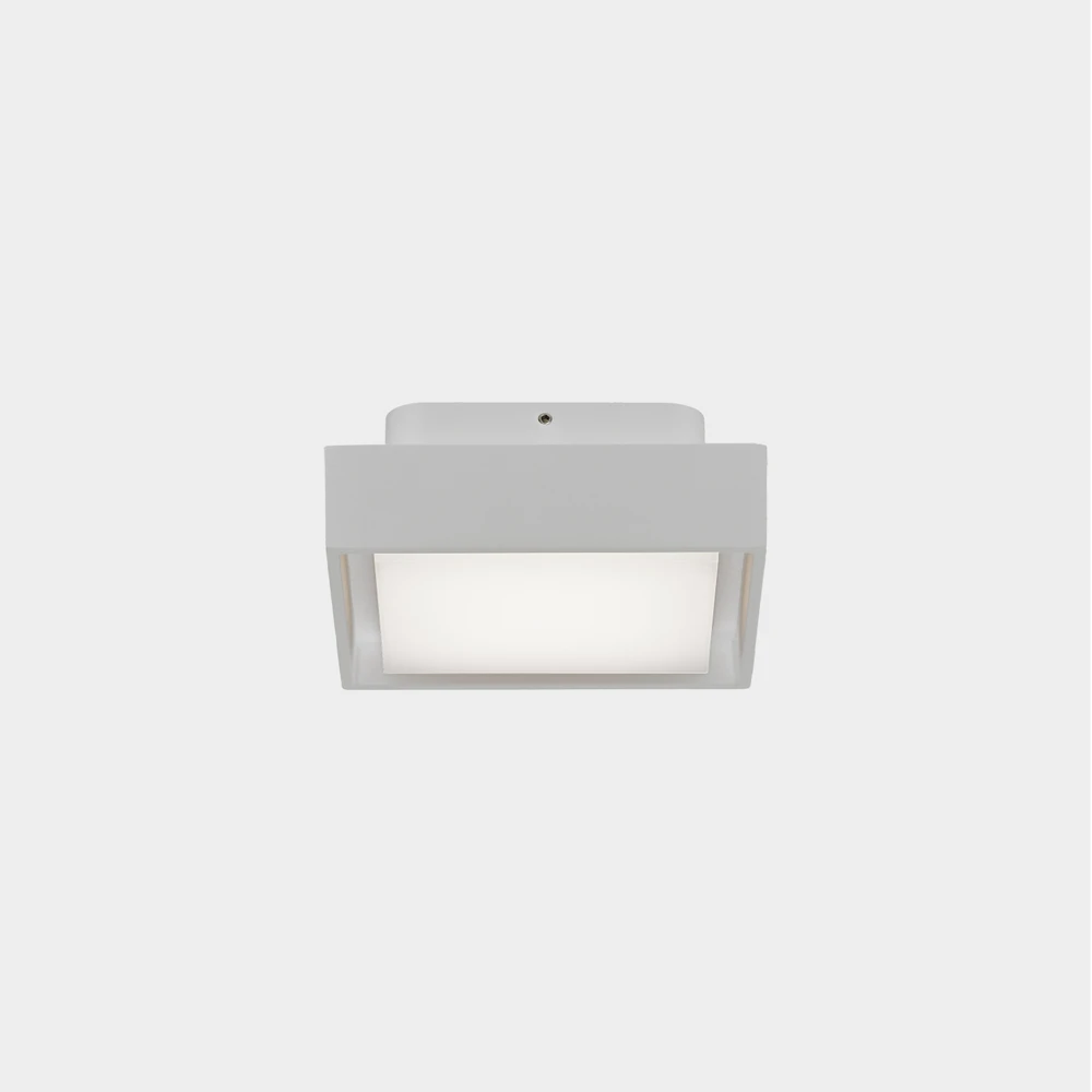 Lubinis šviestuvas 10W LED lubinis fasado šviestuvas NEXUS, baltas, 2700/3000K, IP65, P2083071B