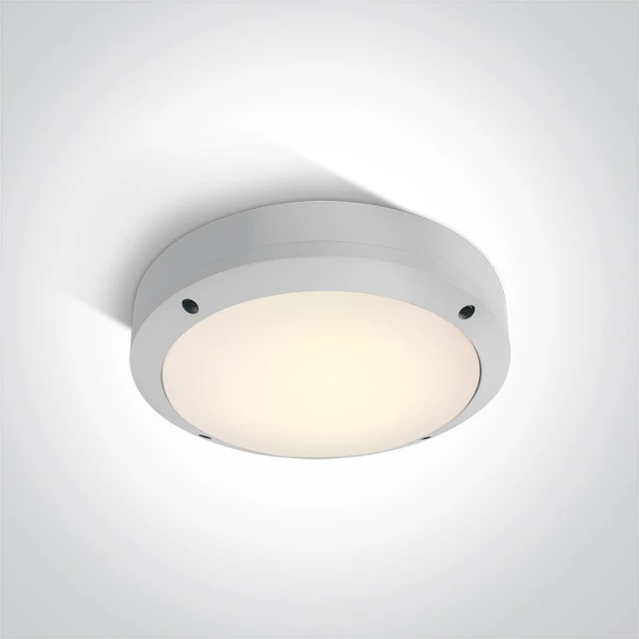 10W LED sieninis lauko šviestuvas, baltas, 3000K, 67442/W/W