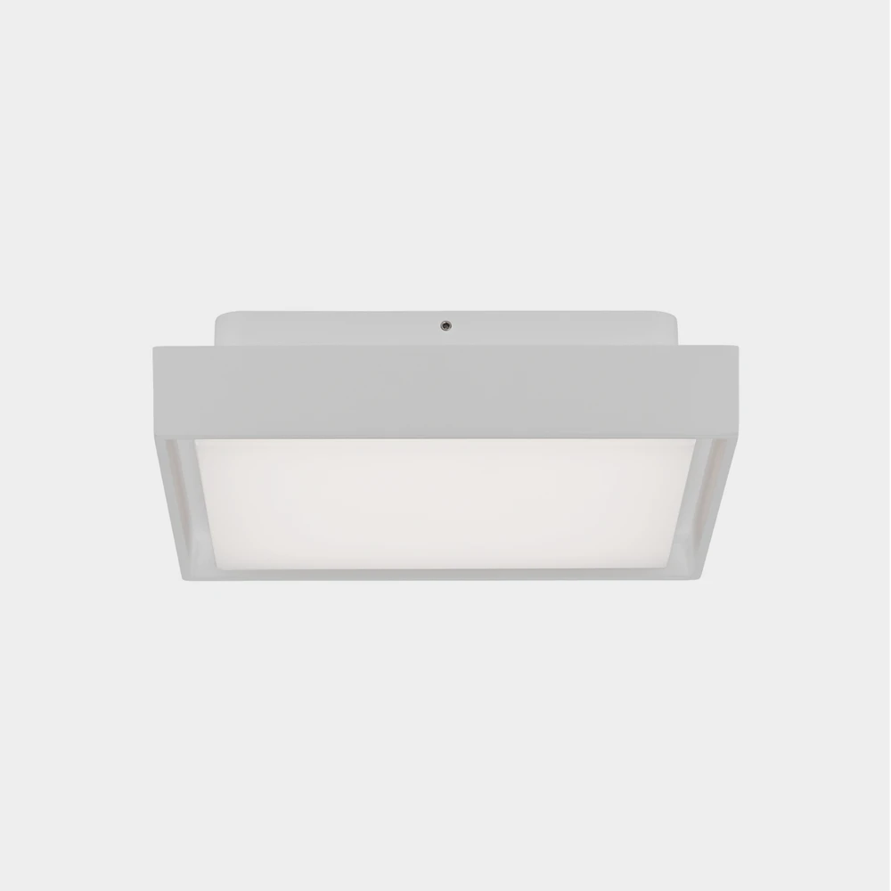 Lubinis šviestuvas 14W LED lubinis fasado šviestuvas NEXUS, baltas, 2700/3000K, IP65, P2083171B