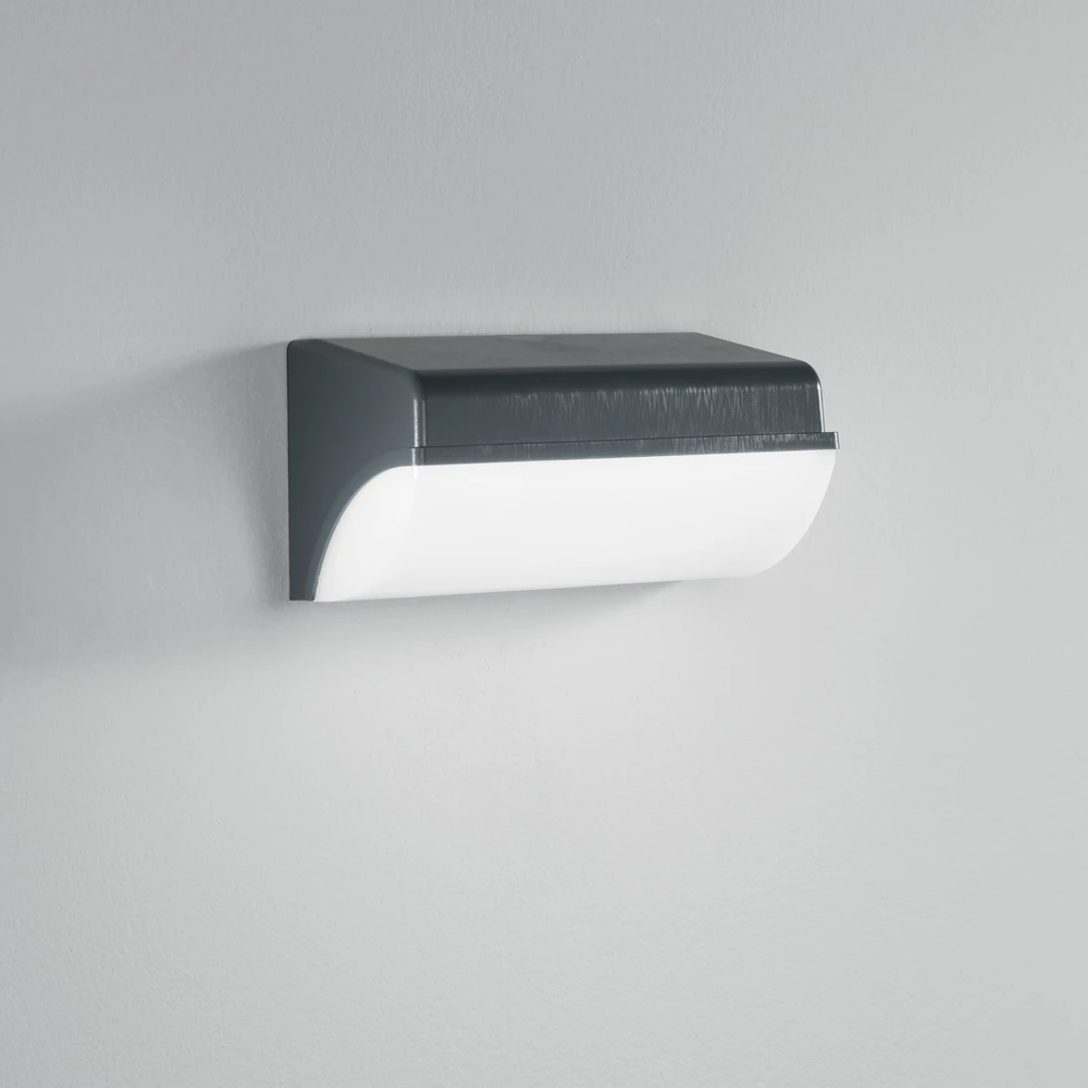 Sieninis šviestuvas 30W LED sieninis fasado šviestuvas BORDER, antracito sp., IP65