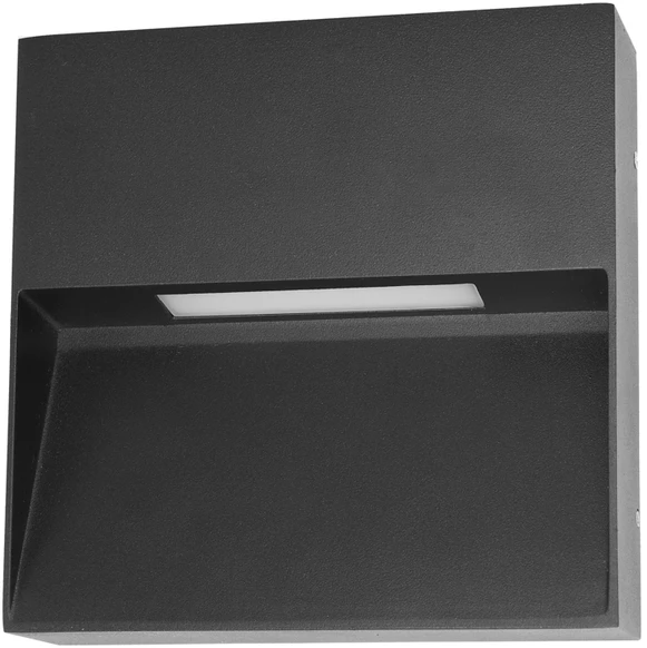 Pakabinamas šviestuvas 3W LED sieninis fasado šviestuvas FENIS 4K, juodas, 4000K