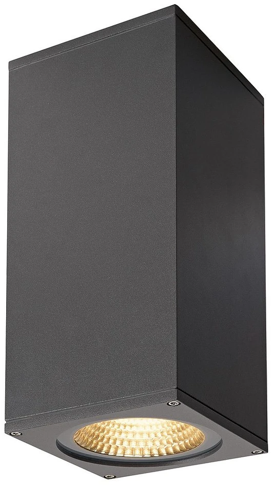 Sieninis šviestuvas 42W LED sieninis fasado šviestuvas BIG THEO WALL, antracito sp., 3000K, šviečia į viršų ir į apačią
