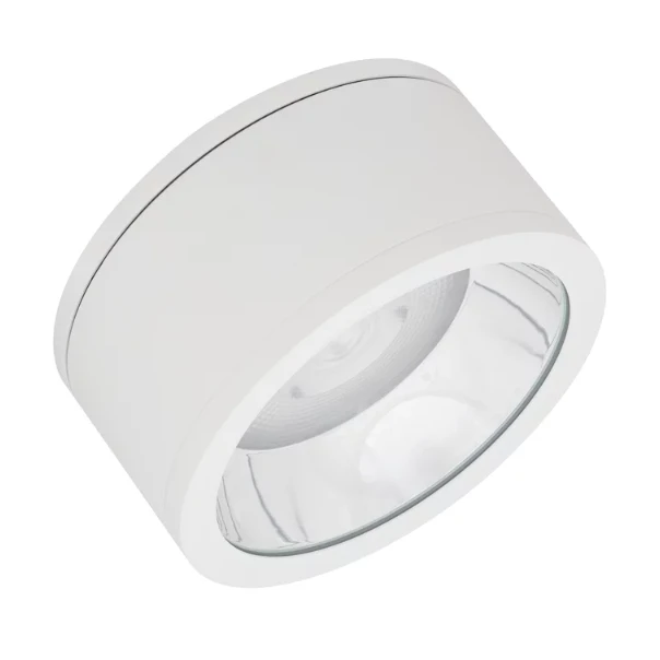 Ledvance 45W LED paviršinis lauko šviestuvas, baltas, 3000K, IP65, 60°