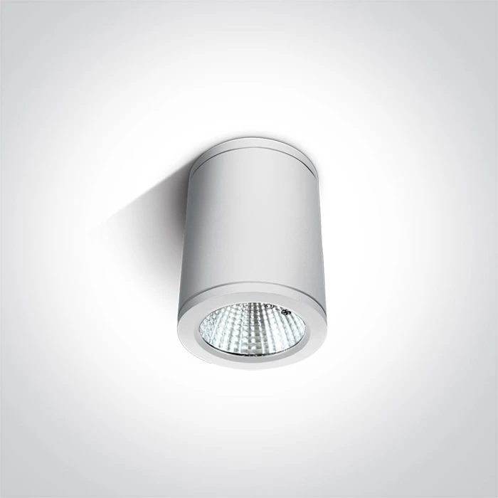 6W LED cilindro formos šviestuvas, baltas, 3000K, 67138C/W/W