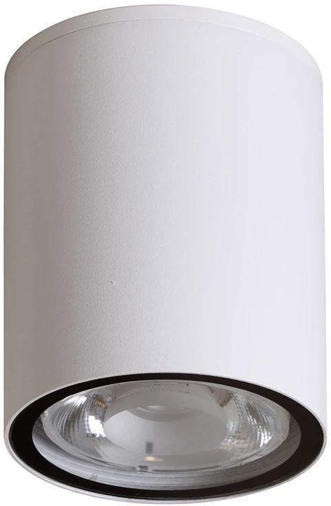 Lubinis šviestuvas 6W LED paviršinis fasado šviestuvas FANO 3K, baltas, 3000K