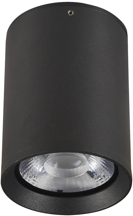Lubinis šviestuvas 9W LED paviršinis fasado šviestuvas CERVIA 4K, juodas, 4000K