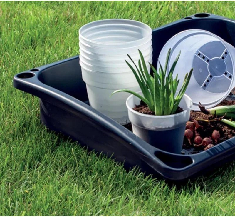 Prosperplast skaidri augalų vazelė 12 cm