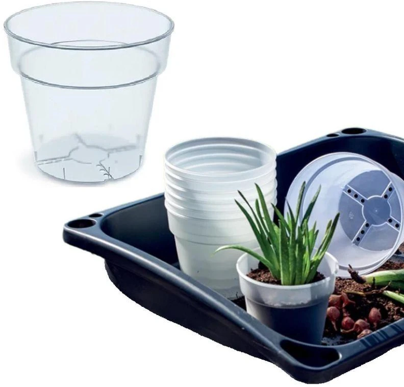 Prosperplast skaidri augalų vazelė 12 cm