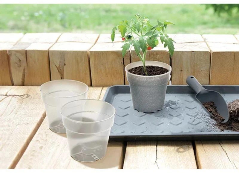 Prosperplast skaidri augalų vazelė 12 cm