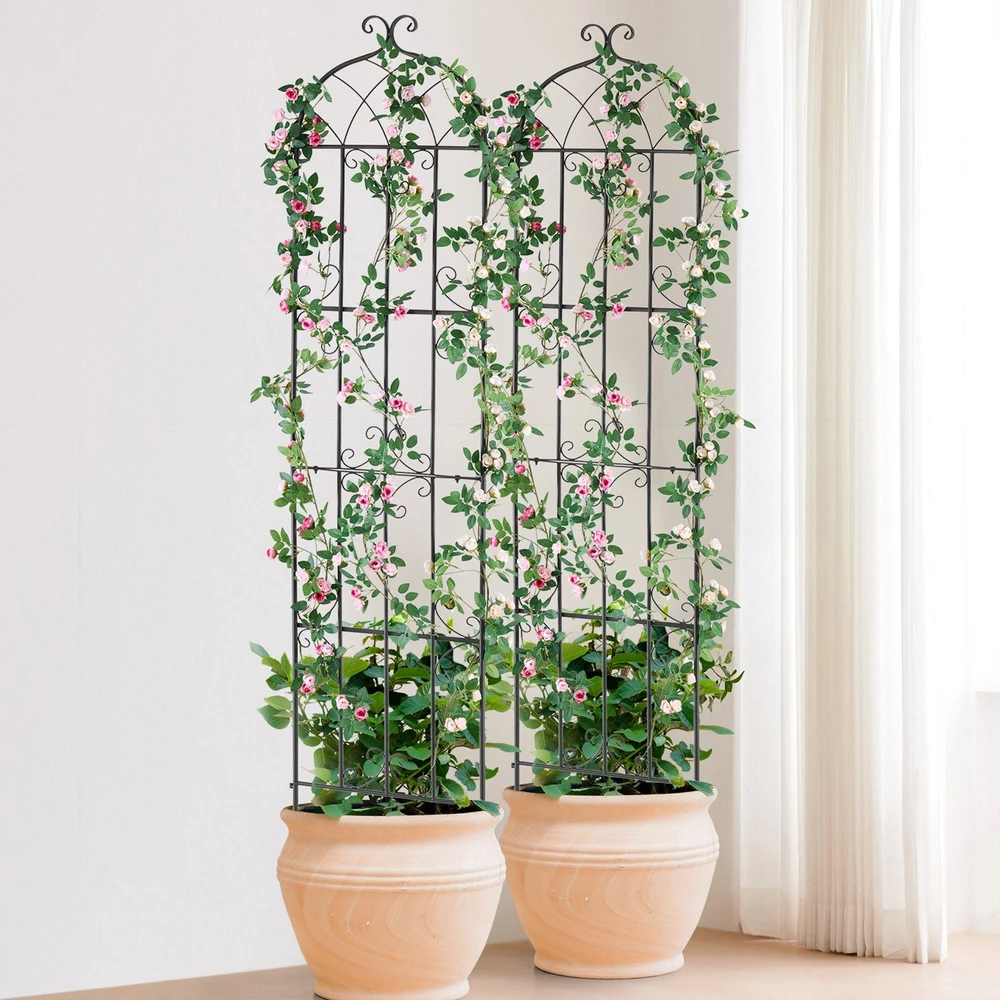 VEVOR Metalinė sodo atrama vijokliniams augalams 220x51 cm