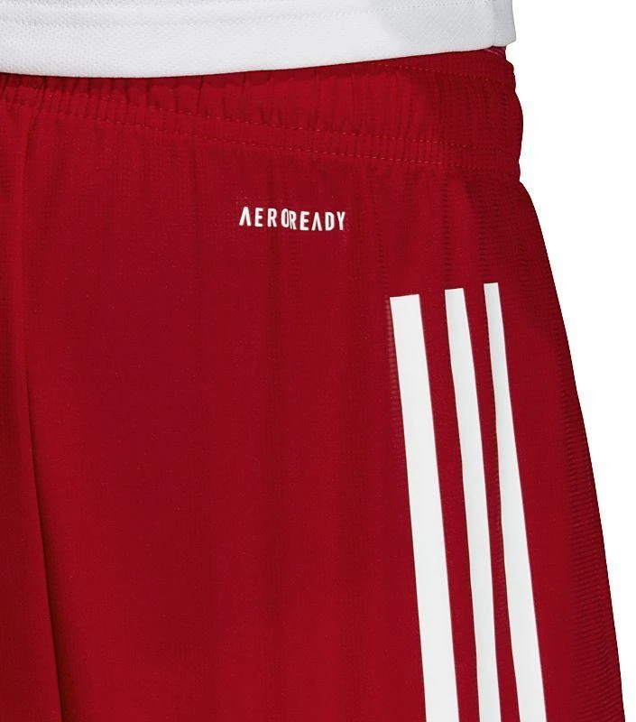 Šortai Adidas Condivo 20 M FI4569