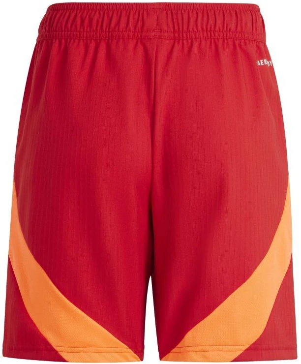 Šortai Adidas Tiro 24 Competition Jr IQ4776