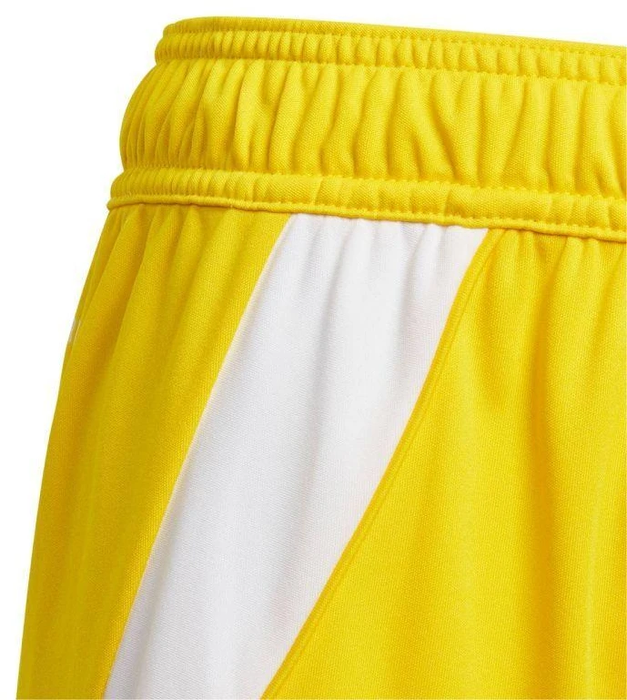 Šortai Adidas Tiro 24 Jr IT2410
