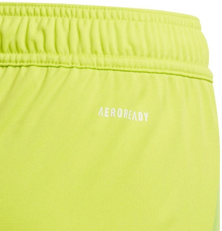 Šortai Adidas Tiro 24 Jr IT2421