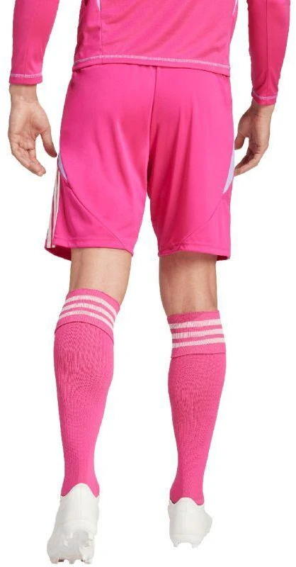 Šortai Adidas Tiro 24 M IT2417