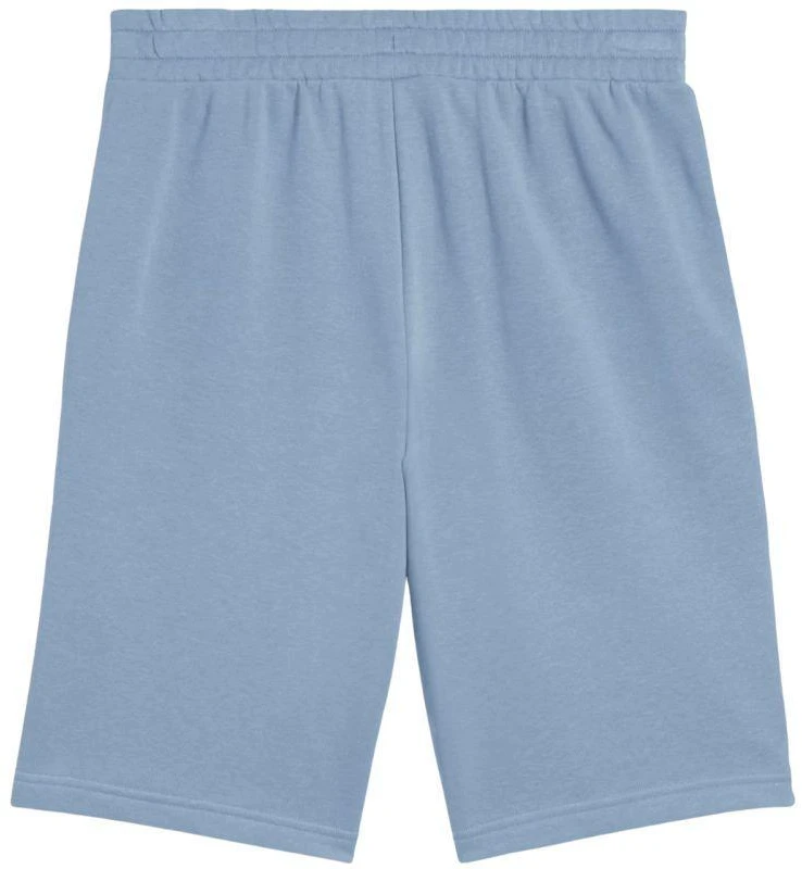 Šortai Puma Ess 2 Color No. 1 Logo M 684715 34