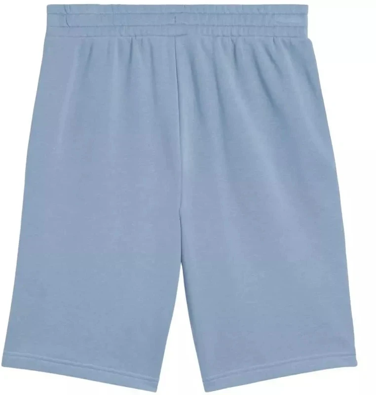 Šortai Puma Ess 2 Color No. 1 Logo M 684715 34