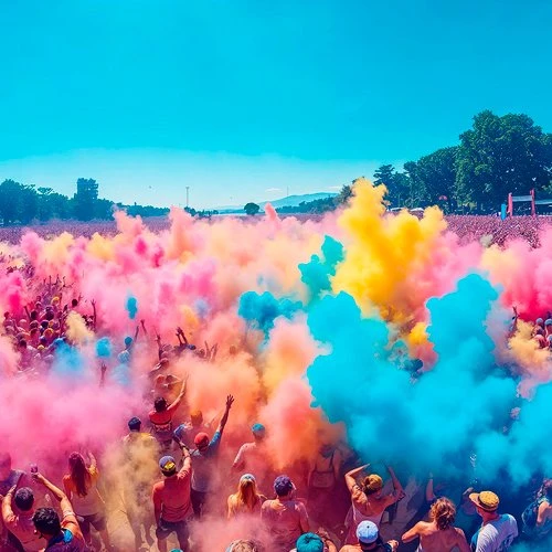 Holi spalvų miltelių rinkinys 6x100g Holi Cow 27335