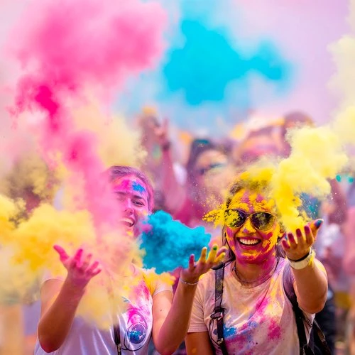 Holi spalvų miltelių rinkinys 6x100g Holi Cow 27335