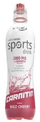 Sportinis gėrimas su L-karnitinu Best Body 12 × 500 ml, persikų ledinės arbatos skonio