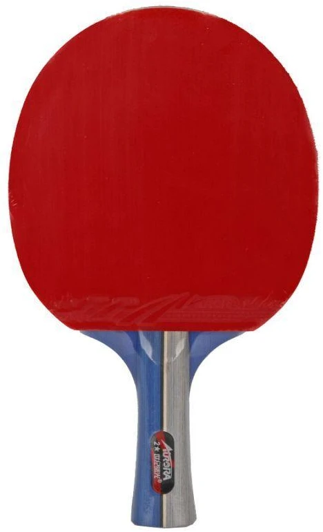 Stalo teniso raketė Aurora PRO 2* SG 2002