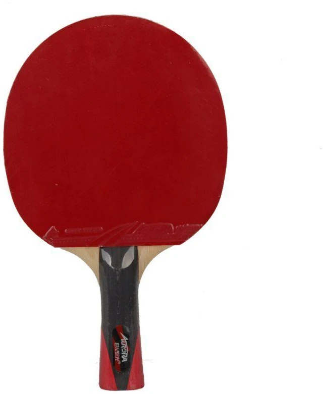 Stalo teniso raketė Aurora PRO 4* SG 4002
