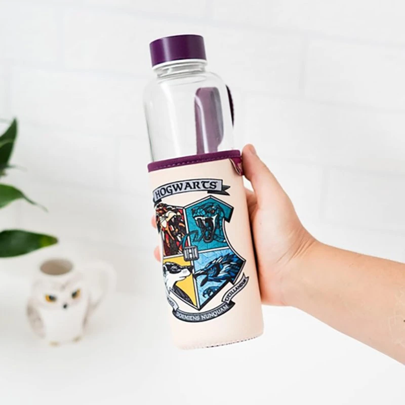 Harry Potter Haris Poteris - 500 ml stiklinis vandens butelis (Hogvartsas)