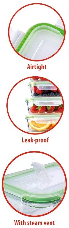 Alpina - Set of 6 glass food containers with lid Priešpiečių dėžutė 370 ml / 640 ml / 1050 ml