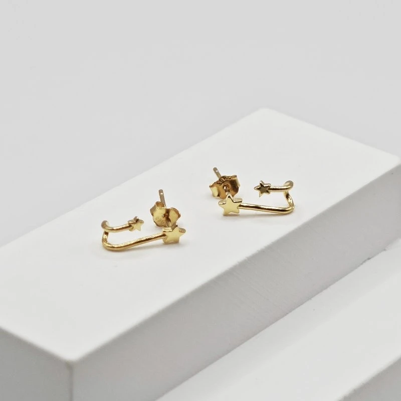 Stilingi auskarai Nova Gold