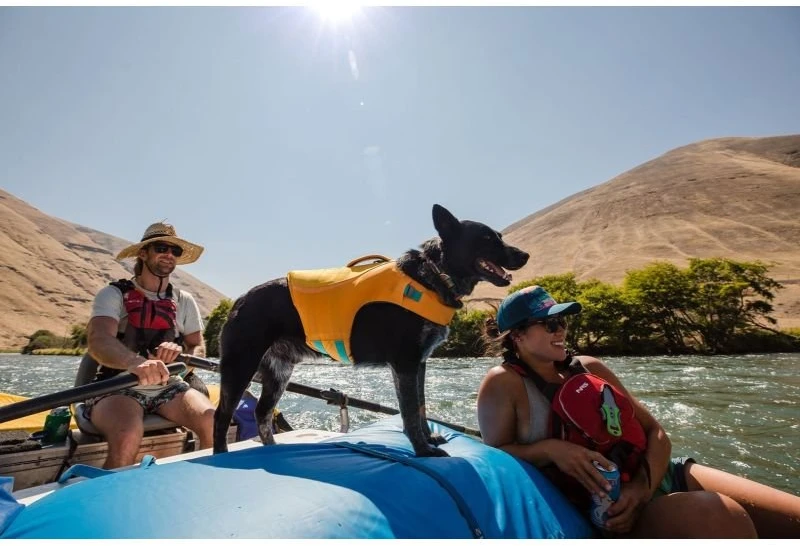 Šuns gelbėjimosi liemenė Ruffwear Float Coat S, geltona