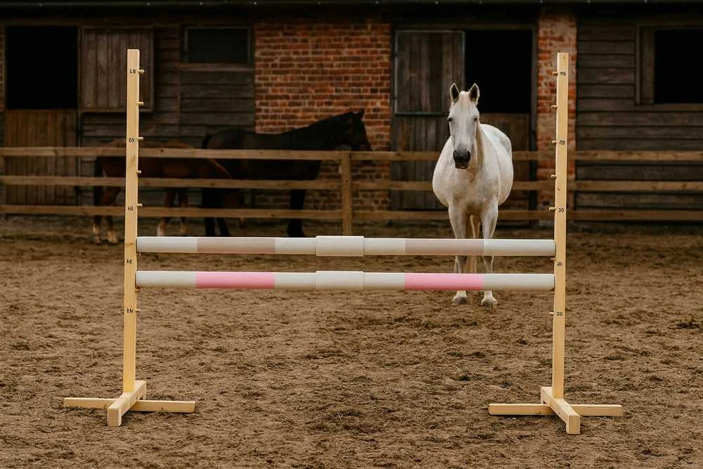 Šuolių kliūtis hobby horse 160×120 cm smėlio ir šviesiai rožinė