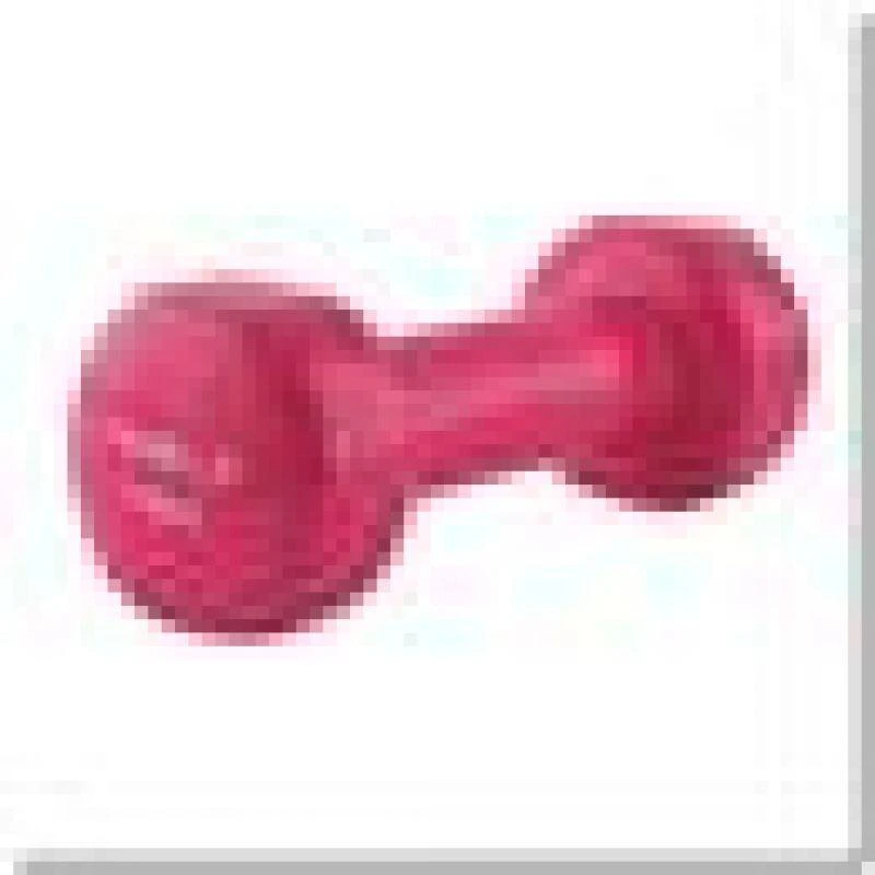 Hantelis dengtas vinilu 1 0kg
