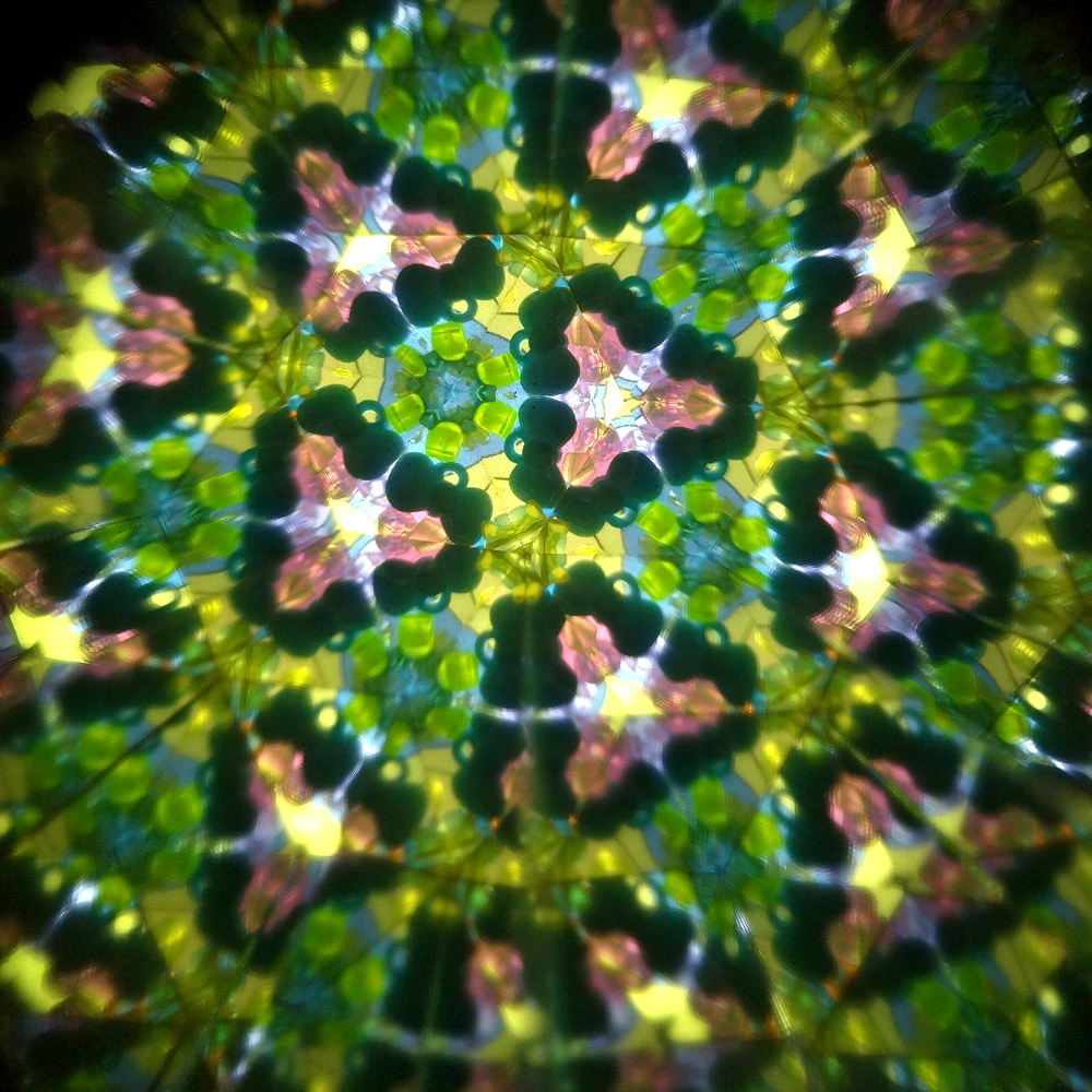 Svoora - Besisukantis kaleidoskopas - Miškas