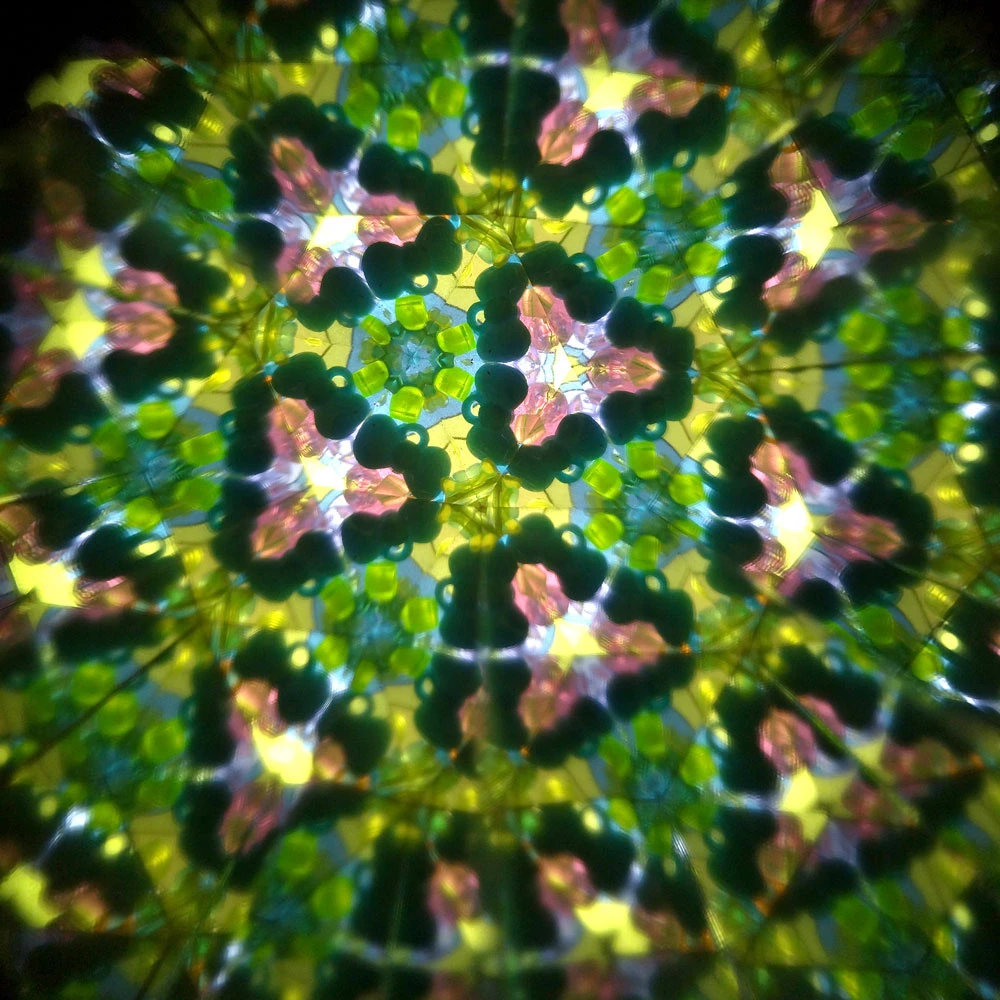 Svoora - Besisukantis kaleidoskopas - Miškas