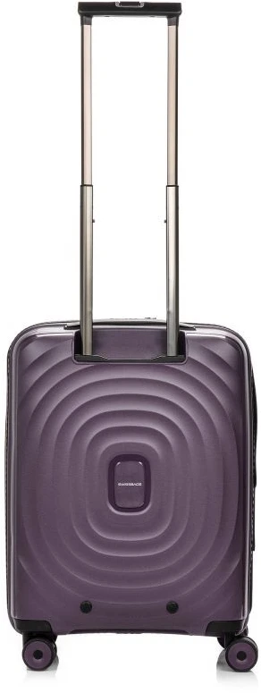 „SwissBags Echo 16578“ rankinė lagaminas