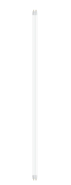 Ledvance T8 lempa SubstiTUBE© Advanced Ultra Output 15.6W, 4000K, 1200 mm