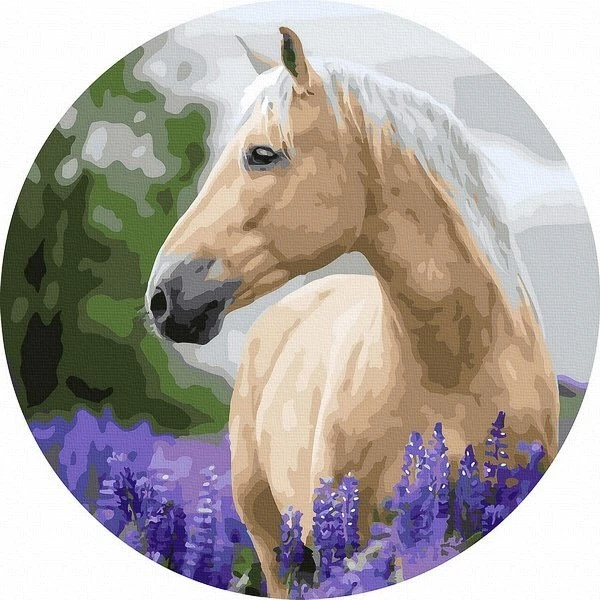 Tapyba pagal skaičius Auksinis arklys 40x40 cm