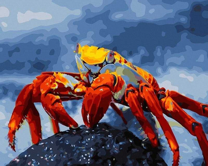 TPS Tapyba pagal skaičius Krabas 40x50 cm