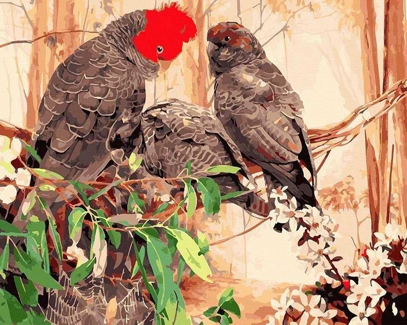 TPS Tapyba pagal skaičius Paukščiukai 40x50 cm