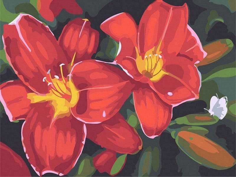 TPS Tapyba pagal skaičius Raudonos lelijos 40x50 cm