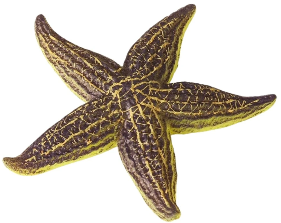 Lean Toys Jūros žvaigždės figūrėlė 9.5 cm