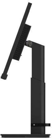 Ausinės ThinkVision T24m-29 23,8 colio monitorius