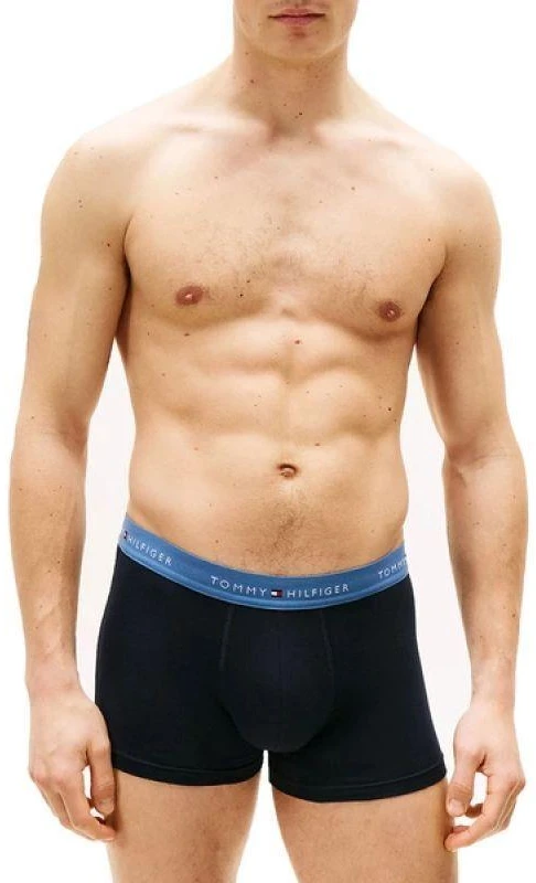 Tommy Hilfiger 3 vnt. rinkinys Vyriški bokseriai Tamsiai Mėlynos Medvilniniai