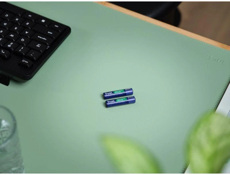 Trust AAA tipo įkraunamos USB-C baterijos 2 vnt.