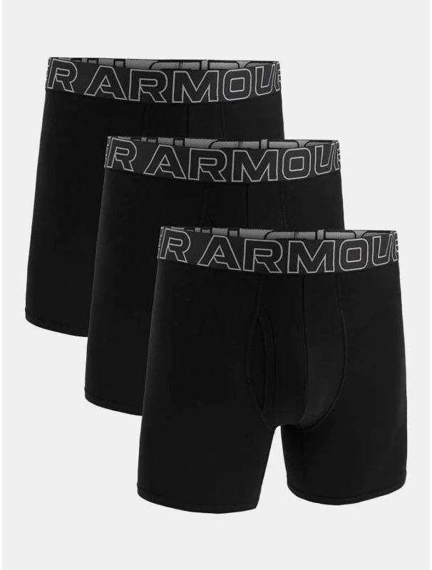 Under Armour Bokseriai M 1383889-001
