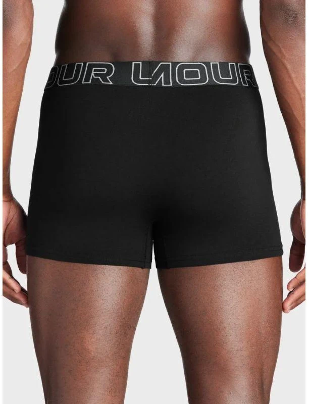 Under Armour Bokseriai M 1383891-001