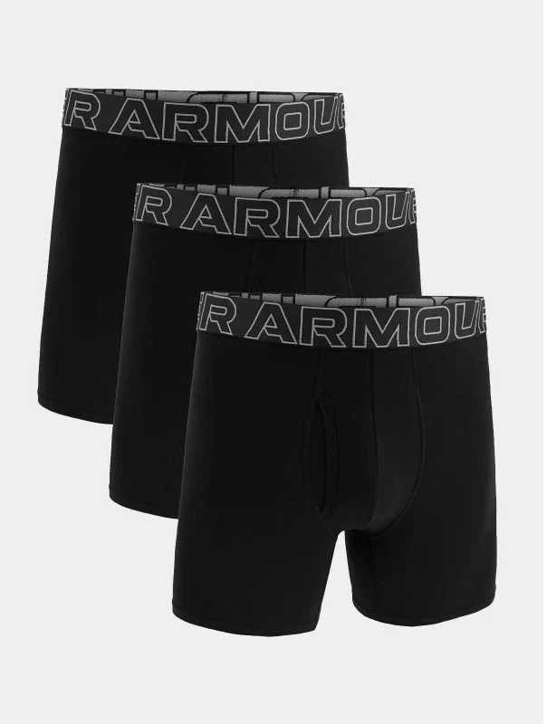 Under Armour Bokseriai M 1383891-001